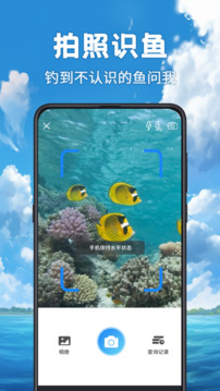 釣魚截圖