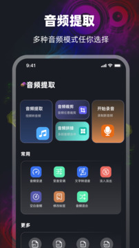 音頻截圖