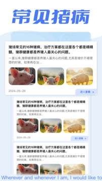 全民養(yǎng)豬場(chǎng)截圖