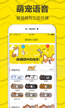 貓語(yǔ)交流翻譯器截圖
