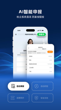 DeepTax截圖