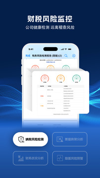 DeepTax截圖