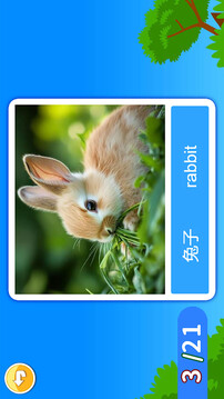 寶寶學(xué)英語(yǔ)ABC截圖