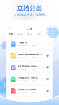 DS文件管理截圖