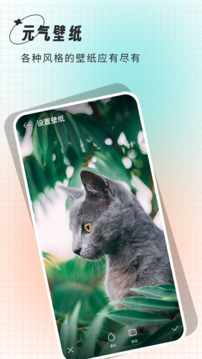 克拉壁紙截圖