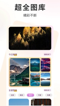 玫瑰截圖