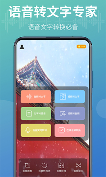 語音轉(zhuǎn)換文字器截圖