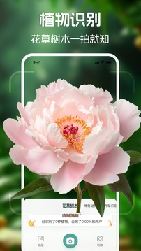 識花君截圖