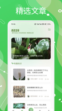 風信子截圖