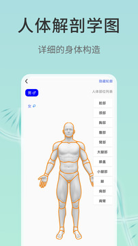 3d解剖截圖