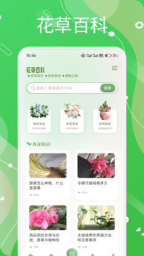 風信子截圖