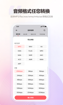 金舟MP3轉(zhuǎn)換器截圖