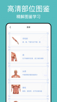 3d解剖截圖