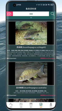 潮汐表精靈截圖