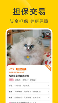 買(mǎi)只寵物截圖