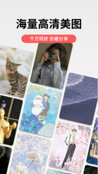 堆糖截圖