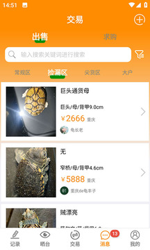 龜圈江湖截圖