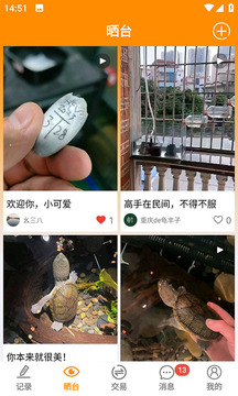 龜圈江湖截圖