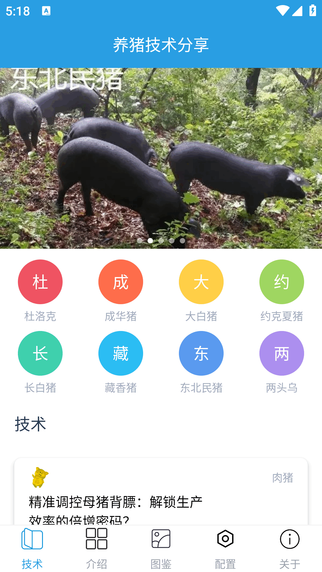 賺錢的養(yǎng)豬場截圖預(yù)覽