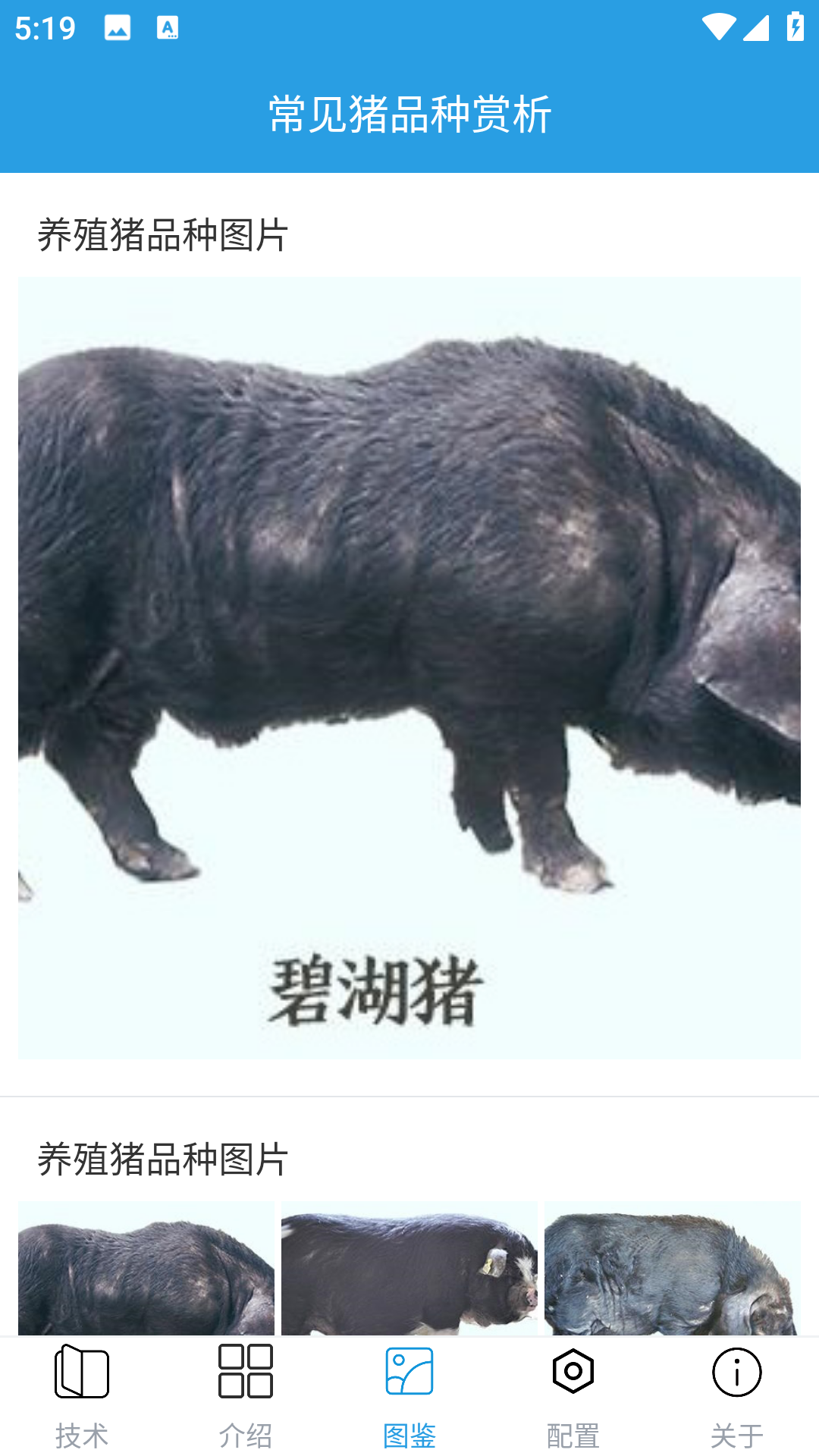 賺錢的養(yǎng)豬場截圖預(yù)覽