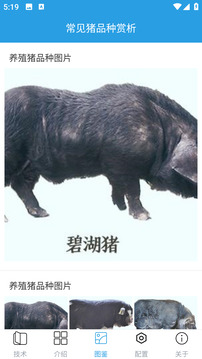 賺錢的養(yǎng)豬場截圖