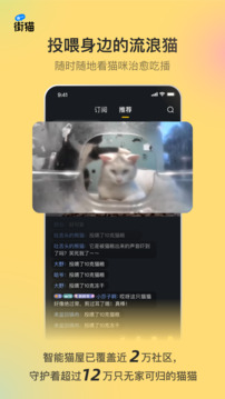 街貓截圖