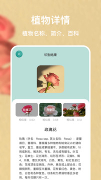 識(shí)別花截圖