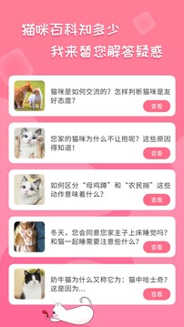 人貓翻譯神器截圖