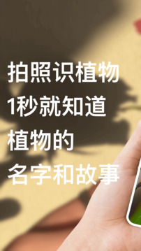 識(shí)別花截圖