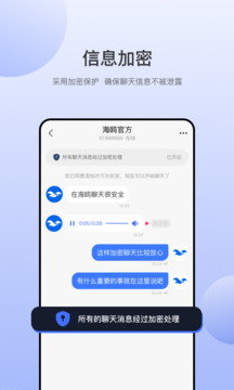 海鷗截圖