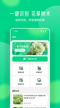 易花截圖