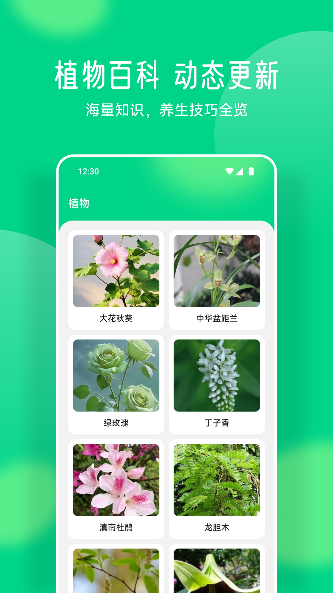 易花截圖預(yù)覽