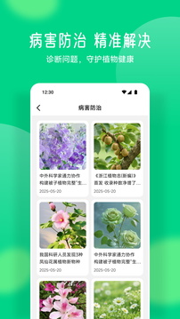 易花截圖