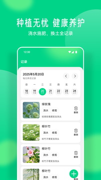 易花截圖