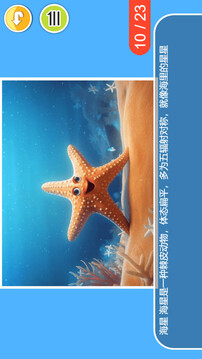 兒童寶寶海洋世界截圖