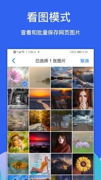 Alook瀏覽器截圖