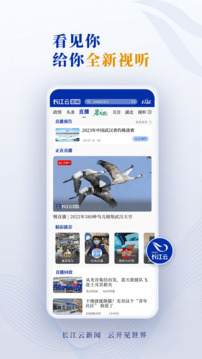 長江云截圖