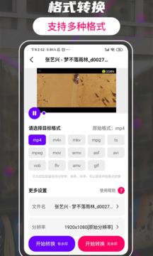格式轉(zhuǎn)換視頻助手截圖