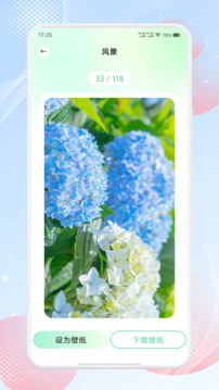 荷花截圖