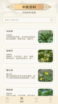 經(jīng)絡(luò)穴位圖釋截圖