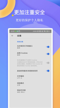 閃電瀏覽器截圖
