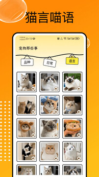 貓和截圖