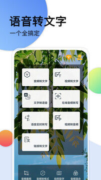 音頻轉(zhuǎn)文字截圖