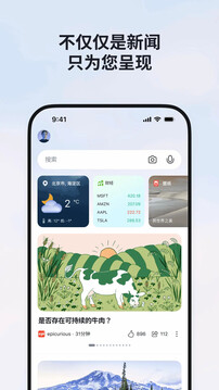 MSN截圖