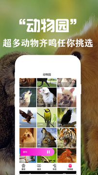 狗語翻譯交流器截圖