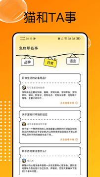 貓和截圖