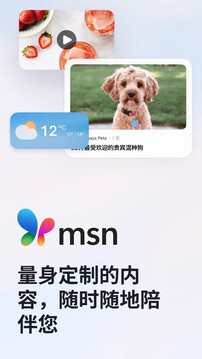 MSN截圖