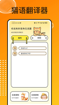 貓和截圖