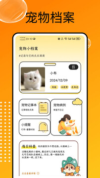 貓和截圖