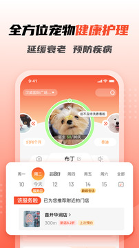 寵物家截圖